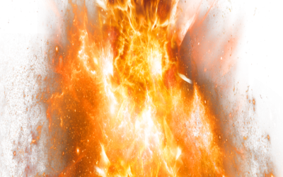 X&nbsp;Forum Ekologiczne